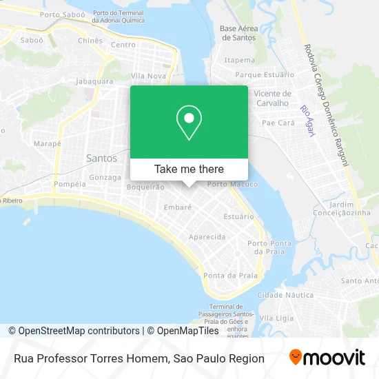 Rua Professor Torres Homem map