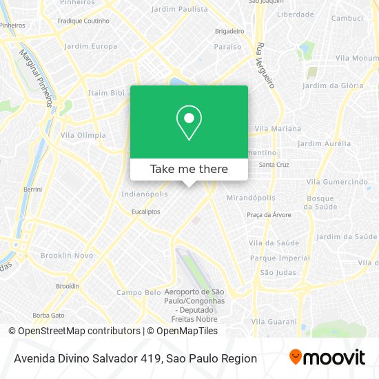 Avenida Divino Salvador 419 map