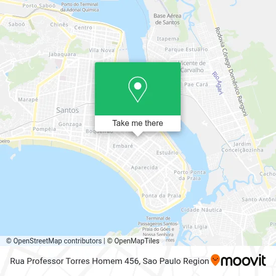 Rua Professor Torres Homem  456 map