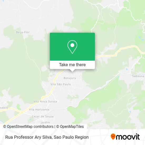Rua Professor Ary Silva map