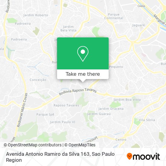 Avenida Antonio Ramiro da Silva 163 map