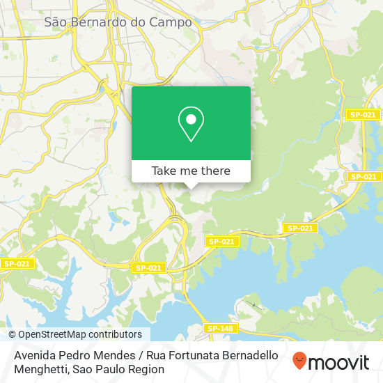 Avenida Pedro Mendes / Rua Fortunata Bernadello Menghetti map