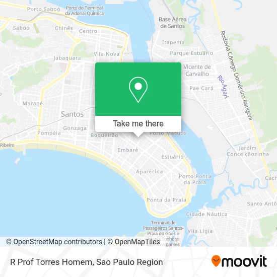 R  Prof  Torres Homem map