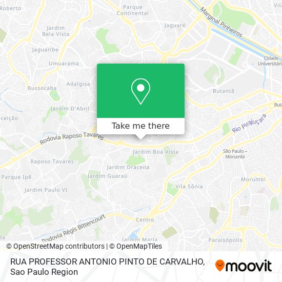 Mapa RUA PROFESSOR ANTONIO PINTO DE CARVALHO