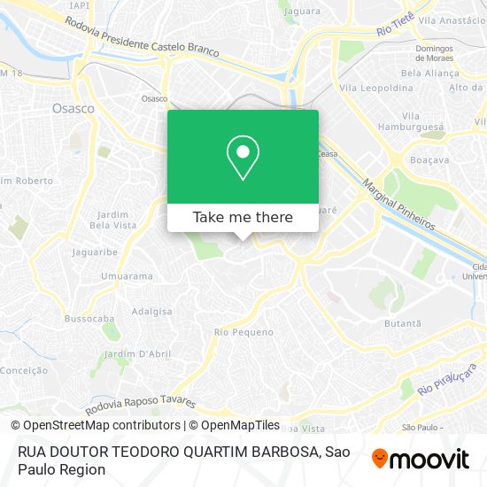 Mapa RUA DOUTOR TEODORO QUARTIM BARBOSA