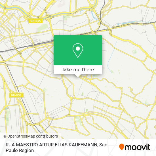 RUA MAESTRO ARTUR ELIAS KAUFFMANN map