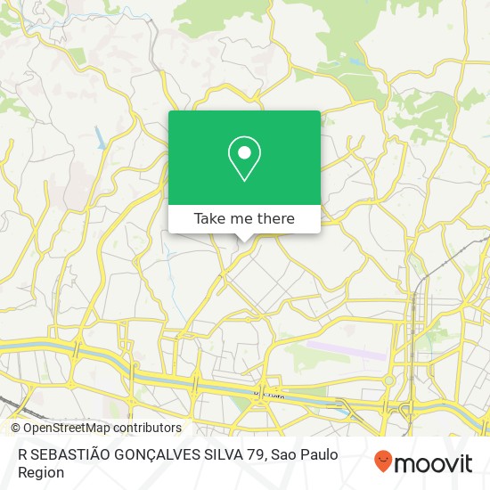 R SEBASTIÃO GONÇALVES SILVA 79 map