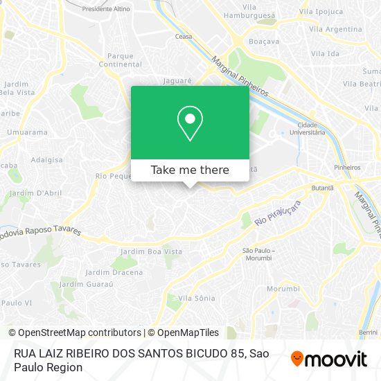 RUA LAIZ RIBEIRO DOS SANTOS BICUDO 85 map