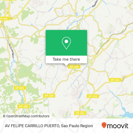 AV FELIPE CARRILLO PUERTO map