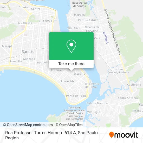 Rua Professor Torres Homem 614 A map