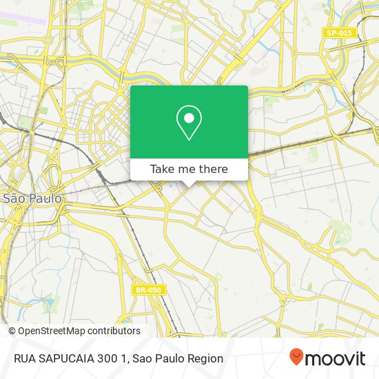 RUA SAPUCAIA 300 1 map