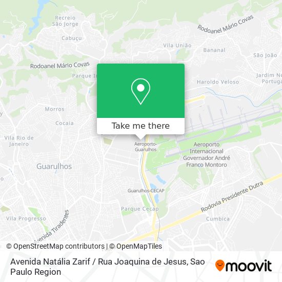 Avenida Natália Zarif / Rua Joaquina de Jesus map
