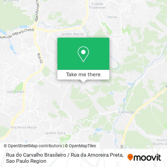 Rua do Carvalho Brasileiro / Rua da Amoreira Preta map