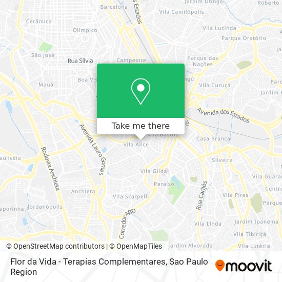Flor da Vida - Terapias Complementares map