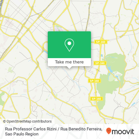 Rua Professor Carlos Rizini / Rua Benedito Ferreira map