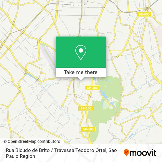 Rua Bicudo de Brito / Travessa Teodoro Ortel map