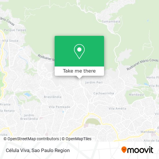 Célula Viva map