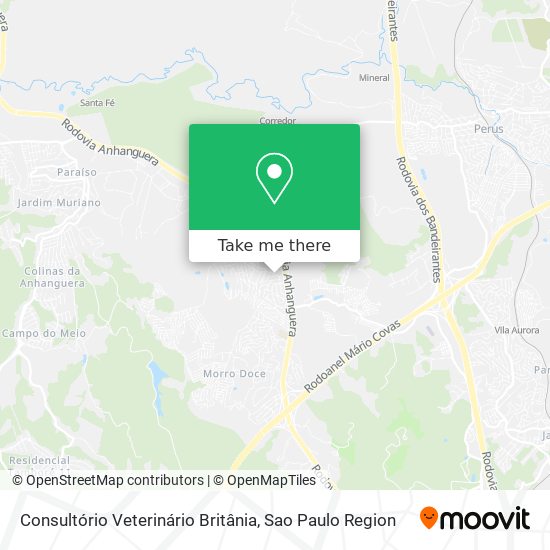 Consultório Veterinário Britânia map