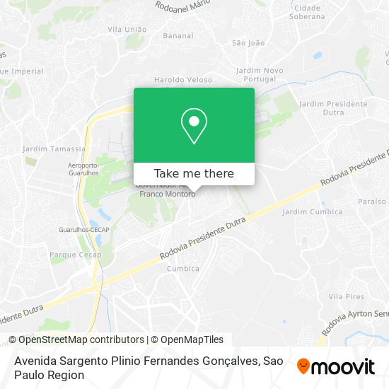 Avenida Sargento Plinio Fernandes Gonçalves map