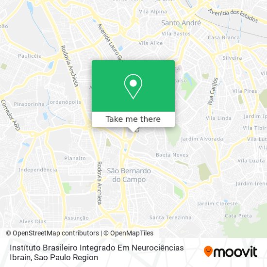 Instítuto Brasileiro Integrado Em Neurociências Ibrain map