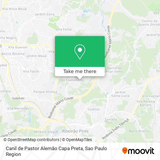 Canil de Pastor Alemão Capa Preta map