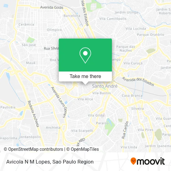 Avicola N M Lopes map
