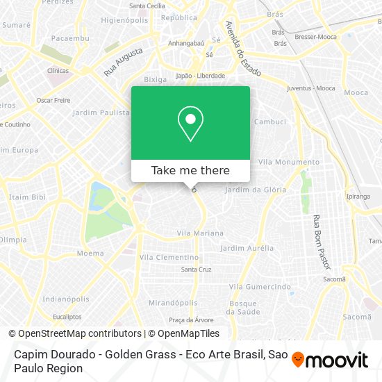 Capim Dourado - Golden Grass - Eco Arte Brasil map