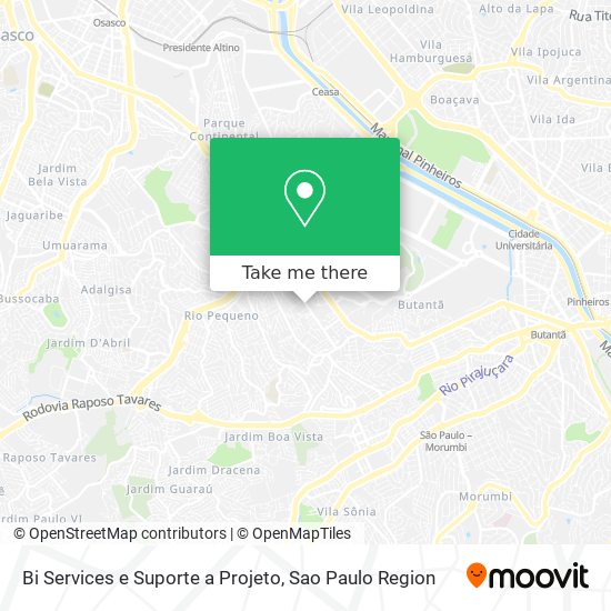 Mapa Bi Services e Suporte a Projeto