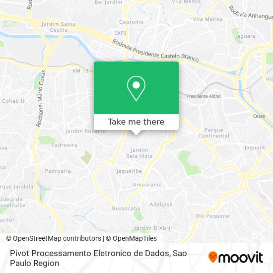 Mapa Pivot Processamento Eletronico de Dados