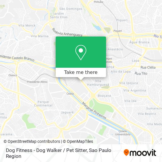 Mapa Dog Fitness - Dog Walker / Pet Sitter