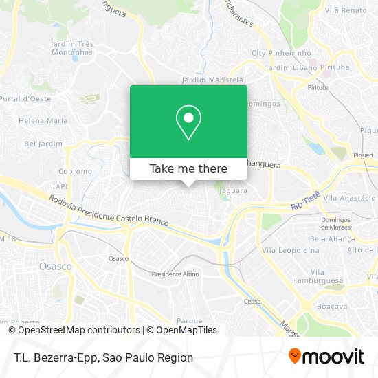 T.L. Bezerra-Epp map