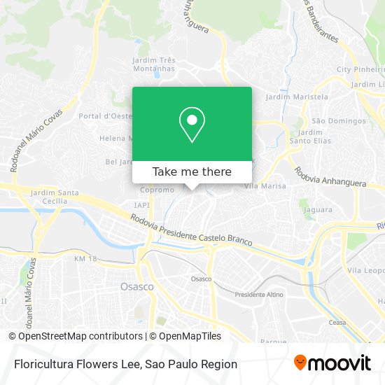 Mapa Floricultura Flowers Lee