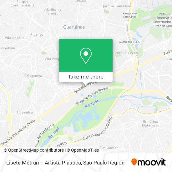 Lisete Metram - Artista Plástica map