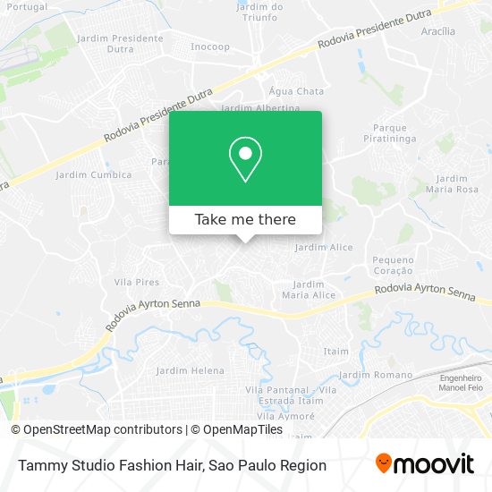 Tammy Studio Fashion Hair map
