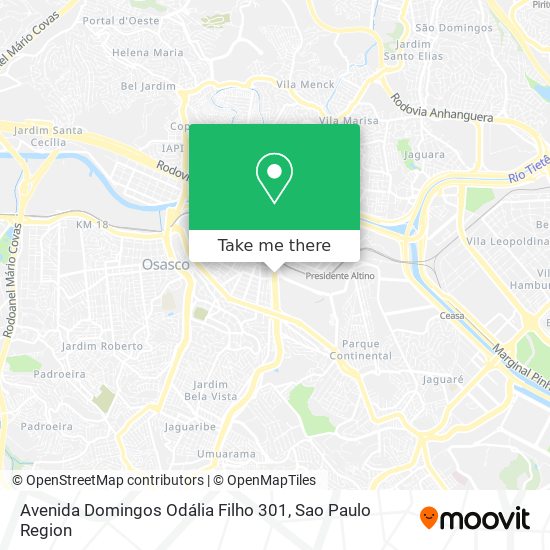 Avenida Domingos Odália Filho 301 map