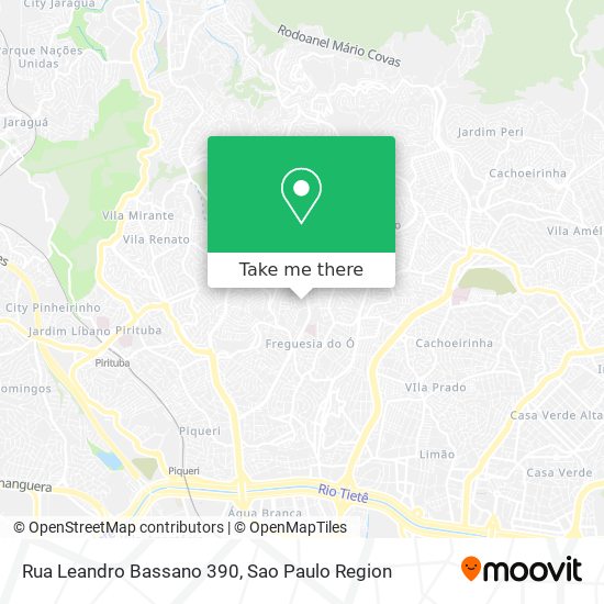Mapa Rua Leandro Bassano 390