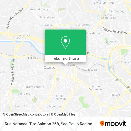 Rua Natanael Tito Salmon 268 map