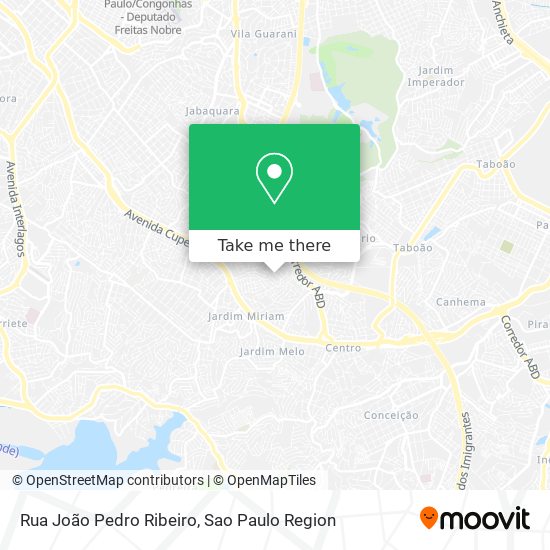 Mapa Rua João Pedro Ribeiro
