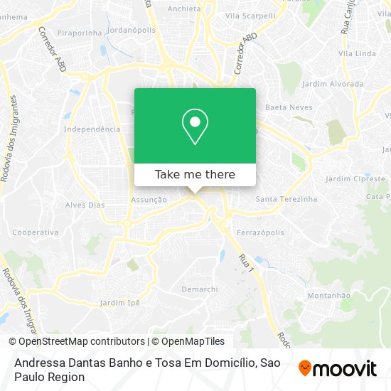 Andressa Dantas Banho e Tosa Em Domicílio map