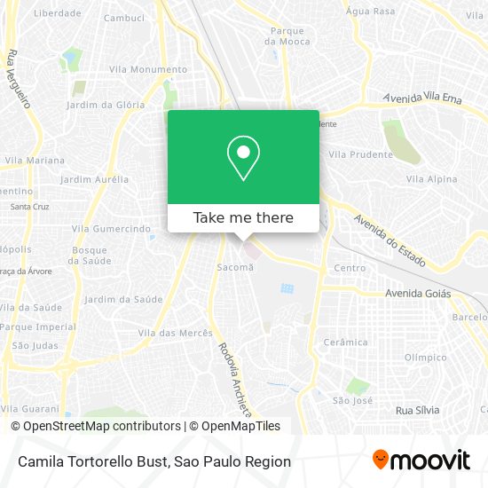 Camila Tortorello Bust map