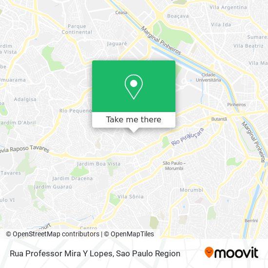 Rua Professor Mira Y Lopes map