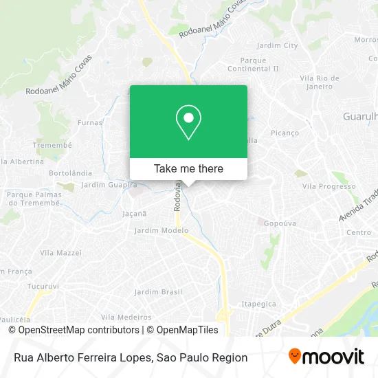 Rua Alberto Ferreira Lopes map