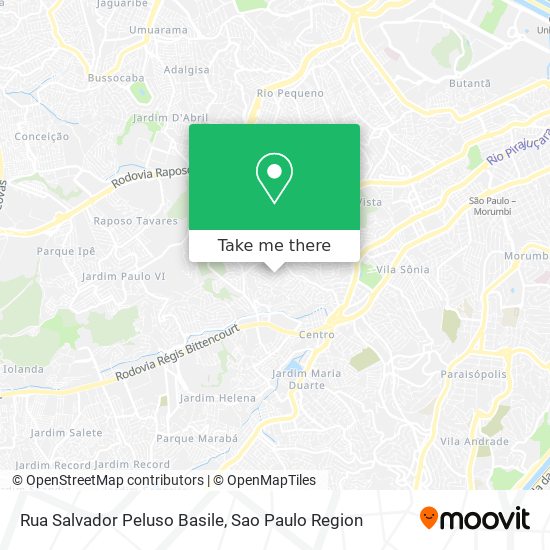 Rua Salvador Peluso Basile map