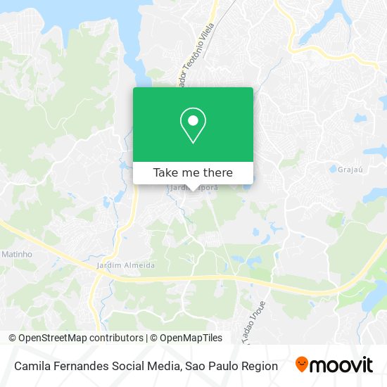 Camila Fernandes Social Media map