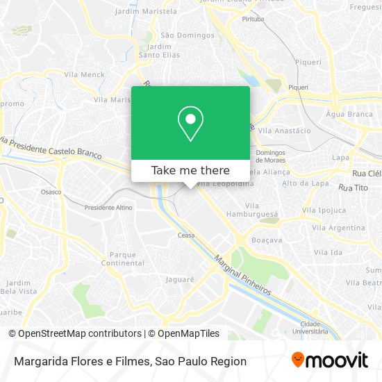 Margarida Flores e Filmes map