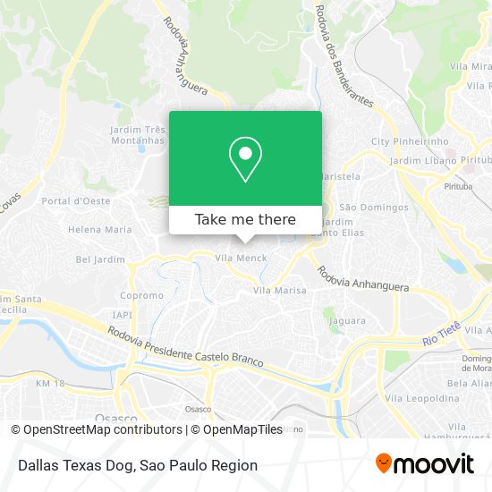 Mapa Dallas Texas Dog
