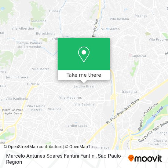 Marcelo Antunes Soares Fantini Fantini map