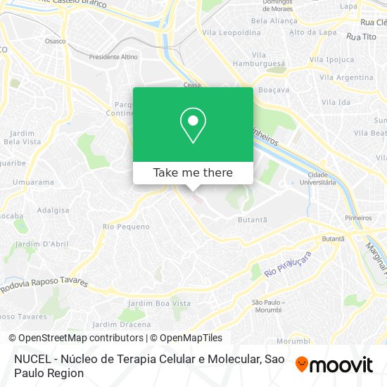 Mapa NUCEL - Núcleo de Terapia Celular e Molecular