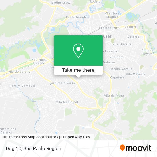 Mapa Dog 10