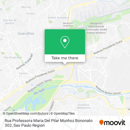 Rua Professora Maria Del Pilar Munhoz Bononato 302 map